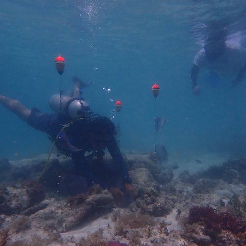 RWI-2WhatsApp Image 2026-01-19 at 23.56.08